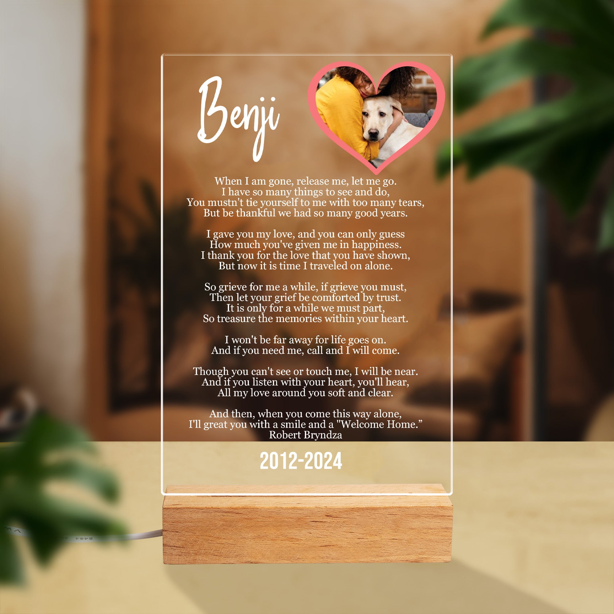 Personalized Pet Memorial Long Message with Photo Plaque With Lighting